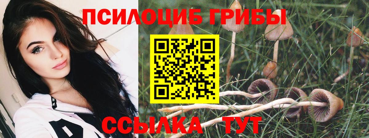 Ногинск  Alpha-PVP СК кристаллы  Конопля  НБОМе  Меф кристаллы  Вход с VPN  Cocaine  ГАШИШ 