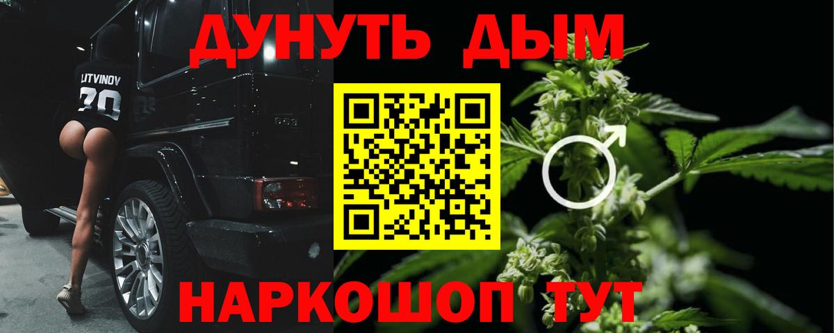 Конопля конопля  Вход с VPN  МАРИХУАНА конопля  Конопля Bruce Banner  Ногинск 